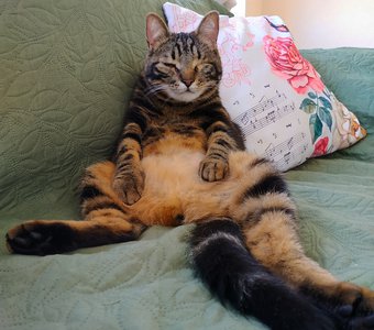 Знакомьтесь! - Джек 😎