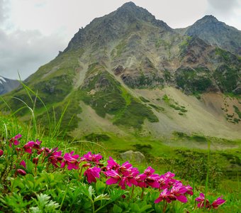 Камчатка,среди гор...