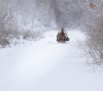 Зимний пейзаж