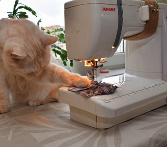 - А я и на машинке могу".