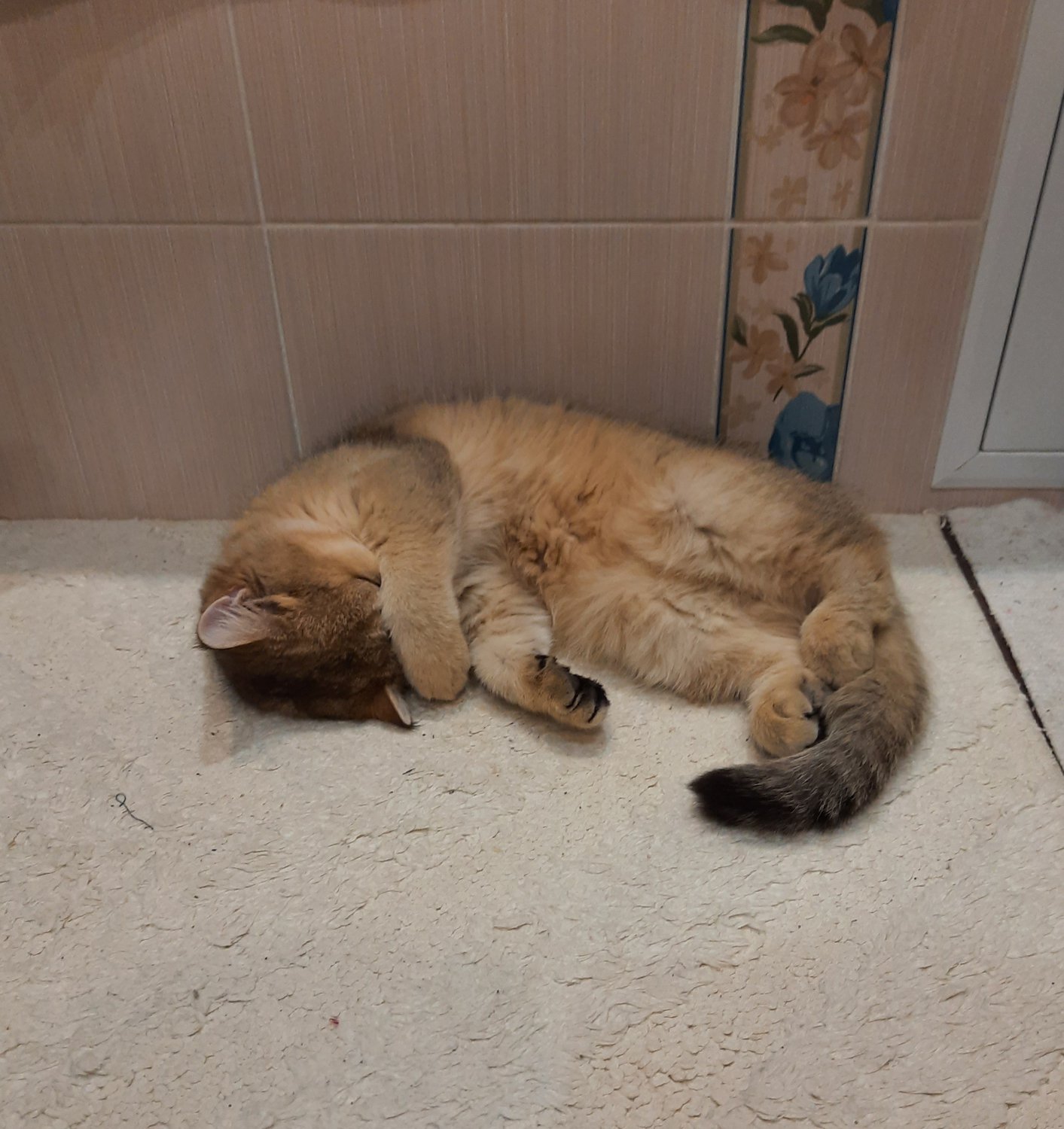 Кто влючил свет?