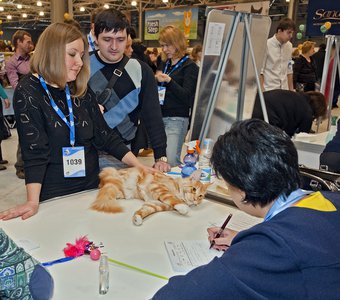 - В слове "рыжий" после "ж" пишется "и".