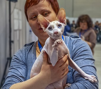 - А лапку поцеловать?