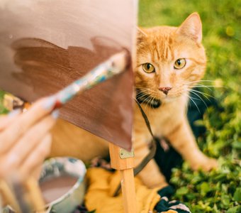 Кот и художник