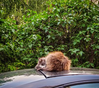 Главное, чтобы крыша не поехала! 😊
