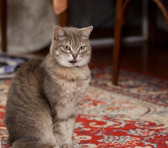 Уж я-то себе цену знаю