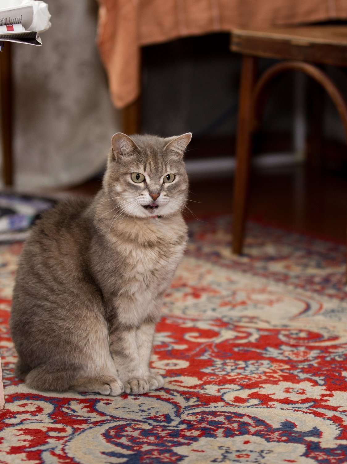 Уж я то себе цену знаю