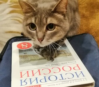 Ответь-ка мне на вопрос..