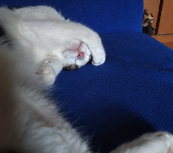 Имидж ничто-сон всё!))