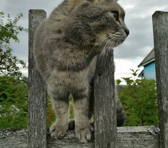 контроль форм