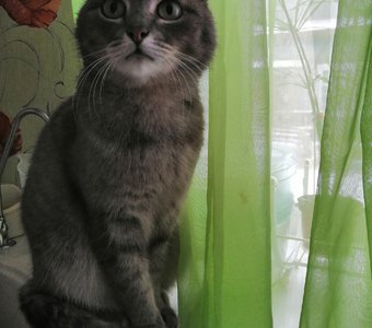 Я прекрасна