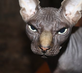 Зачем фотографируешь???