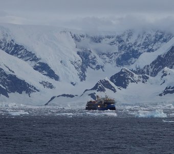 Пассажирское судно в водах Антарктиды