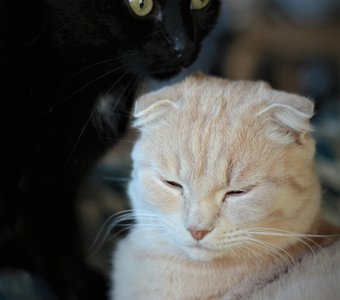 день и  ночь