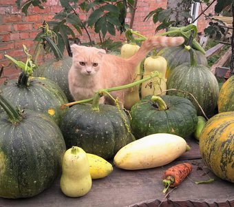 Это все мне?