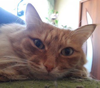 Вы что-то хотели?