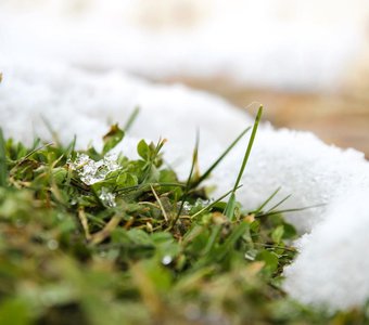 Природа просыпается