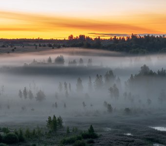 Туманное утро