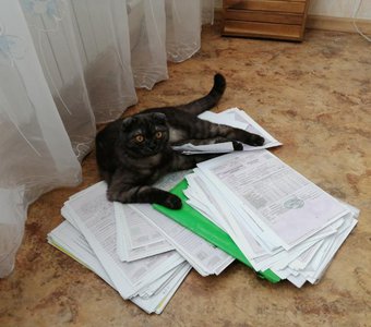 Дебет с кредитом сошелся!