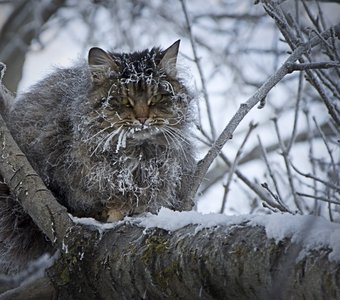 Немного замерз