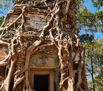 Затерянный в джунглях храм Ангкора