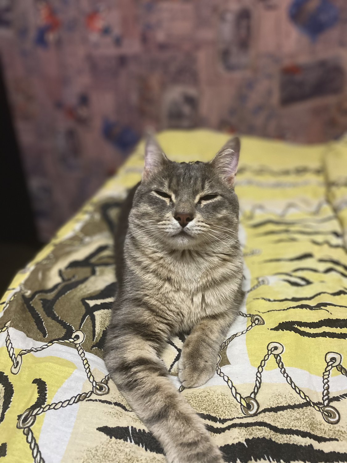 Хозяин этого дома!