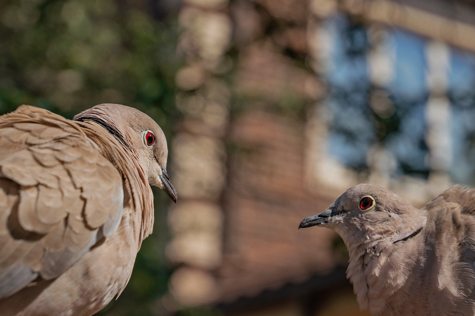 Вы чьих будете?