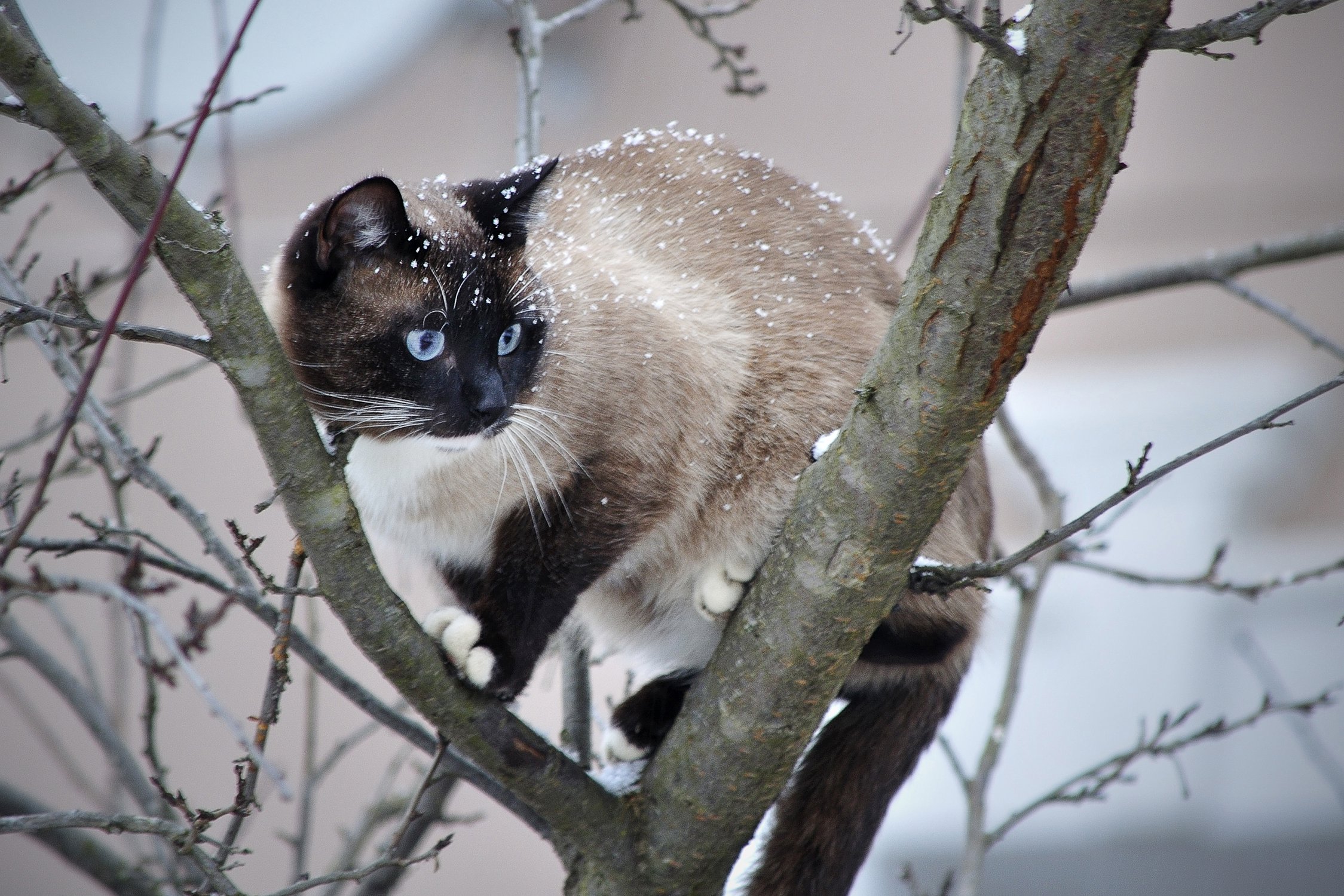 На прогулке