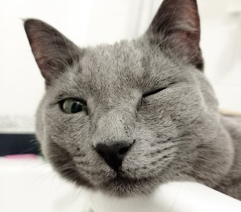 Может замыслим шалость?