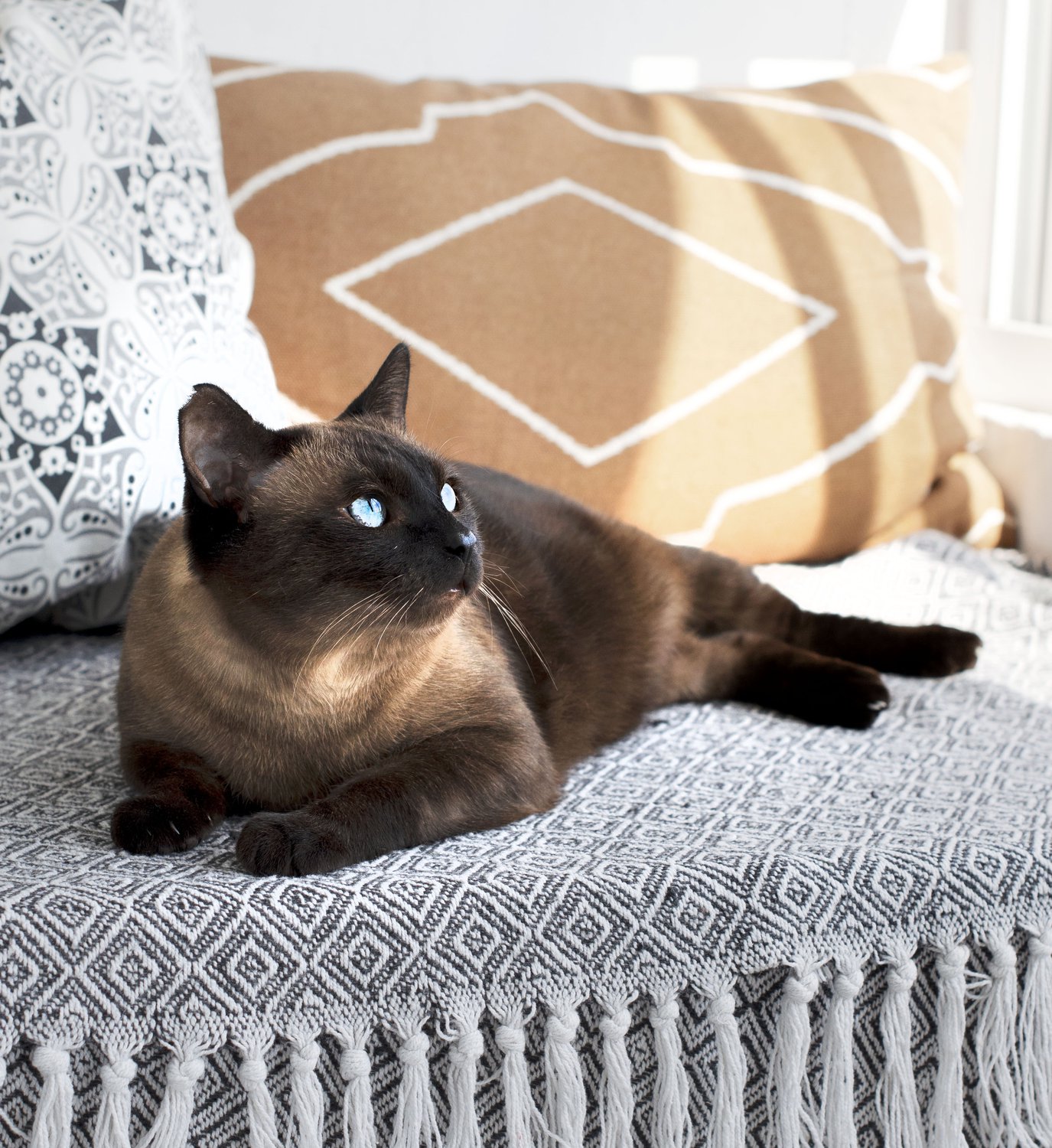 Солнечный день