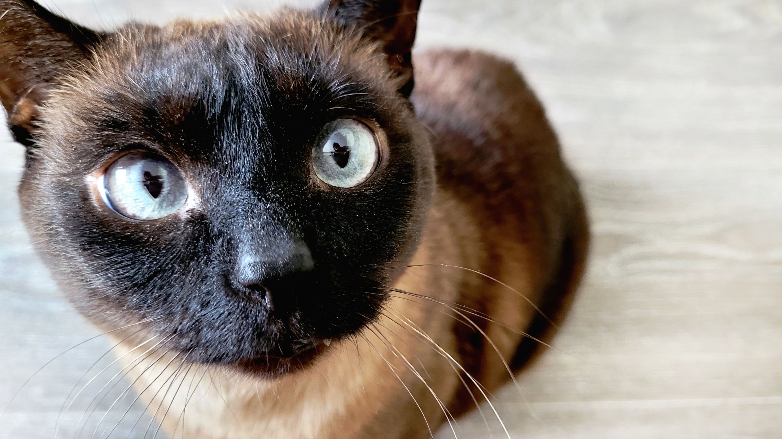 Страшно интересно!