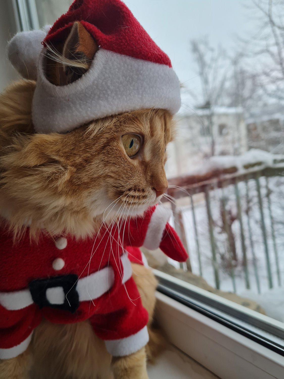 В ожидании чуда