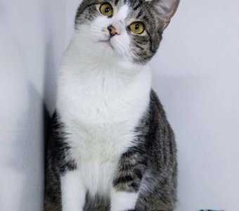 Лекс мечтает о доме