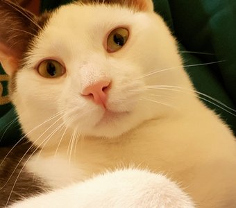 Любимый милаш!