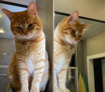 Раздвоение личности