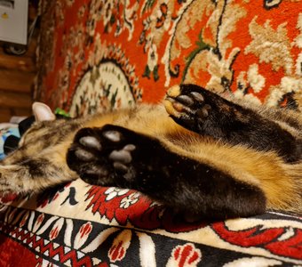 Спят усталые игрушки