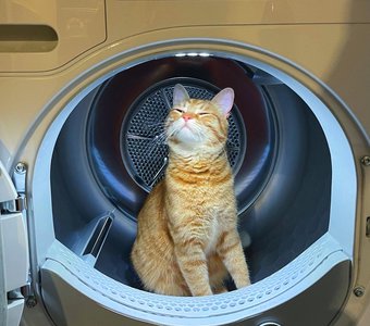 Ground control to major Tom