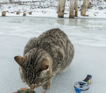 Сам поймал - сам съел.