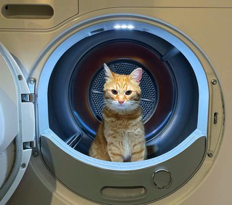 Ground control to major Tom