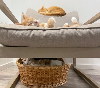 Коммунальная квартира