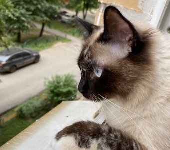 На районе все спокойно