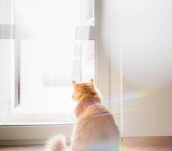 В ожидании...