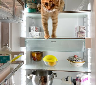 Что у нас сегодня на ужин?