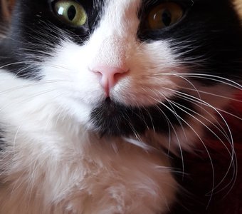 "А чего это вы здесь делаете?"