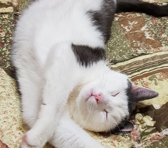 После тяжёлого трудового дня