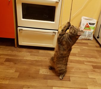 "Божечка, пошли мне вкусняшечку на ночь"