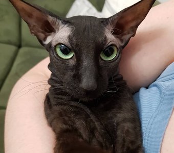 Уходите!!! Я Вас не звала!!!!