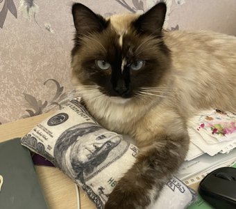 Подожду пока курс ещё подрастёт