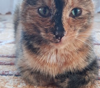 "Чудо природы"