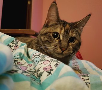 "Мама, ты точно не пойдёшь завтра на работу?"